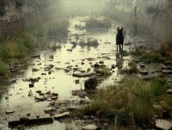 Stalker (Andrei Tarkovski, 1979)