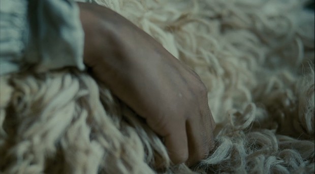 Wuthering Heights (Andrea Arnold, 2011)